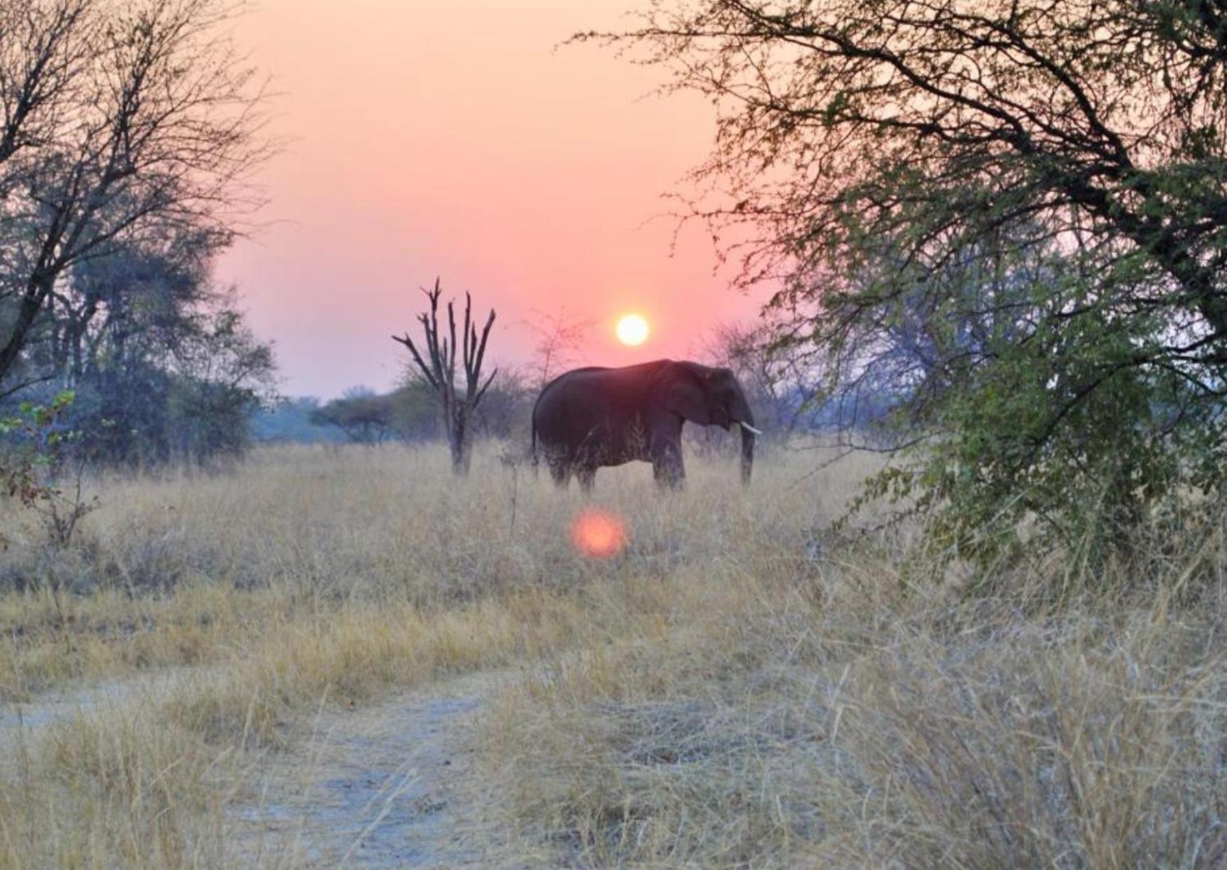 Phazama Farm Villa Maun Exterior photo