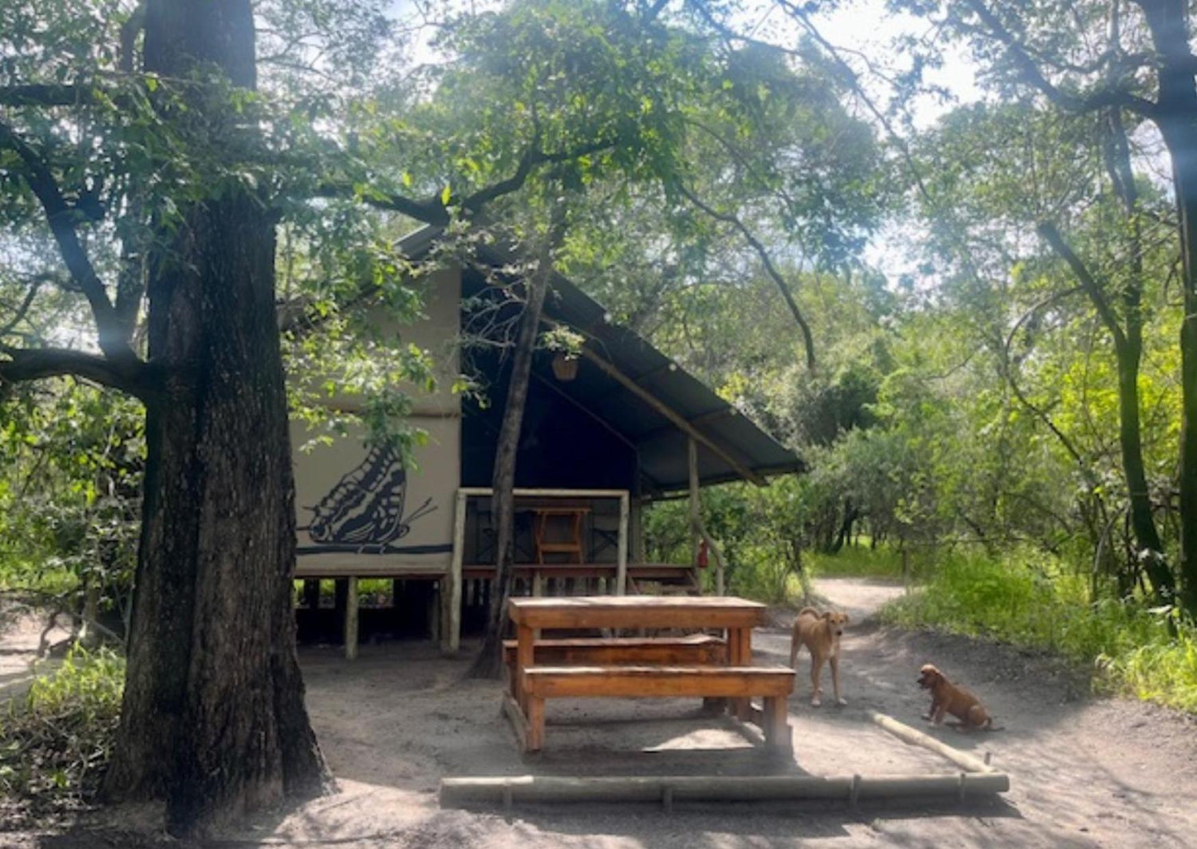 Phazama Farm Villa Maun Exterior photo